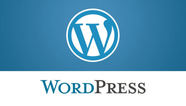 CUSTOM WORDPRESS STORE